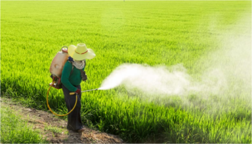 Insecticides India Limited Gets Patent for New Compounds : Chemical ...