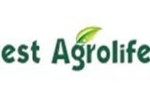 Best -Agrolife- Bags- Patent- for -its -Advanced- Insecticide -Formulation