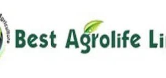 Best -Agrolife- Bags- Patent- for -its -Advanced- Insecticide -Formulation
