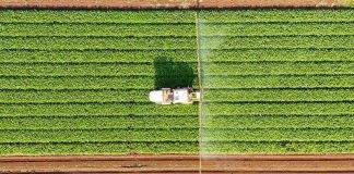 Hygenco- Selects- Topsoe -as -Technology -Partner -for -Green -Ammonia -Initiative