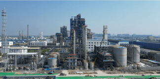 Synata -Bio- Secures -$4.5- Million -NDRC -Grant -for- Sylonto -Project