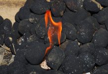 Coal- India -and -BPCL- Ink -Deal -to- Explore -Coal -to- Synthetic -Natural -Gas -Project