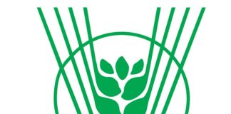 IIOR -Unveils- Biopolymer- Technology -for -Seed -Coating