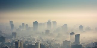The Nitrogen Dioxide