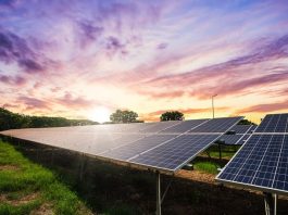 Sterling -and -Wilson- Bags -Solar -EPC- Project -in -Gujarat