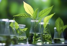 Syngenta and TraitSeq Partner for AI-Powered Biostimulants