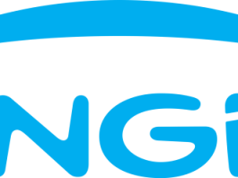 ENGIE Boosts India's Renewable Energy to Support Net Zero Targets