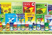 Super -Crop- Launches- Bio-Fertilizer -for -Sustainable -Farming