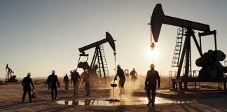 Wildlife- Panel -Approves -Oil -and- Gas- Exploration -in- Hoollongapar -Sanctuary