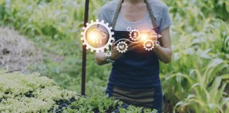 Agrotech 2025: Brazil’s Premier Agribusiness Event