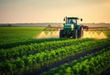 Government Initiative to Boost Urea and Fertilizer Production