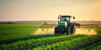 Government Initiative to Boost Urea and Fertilizer Production