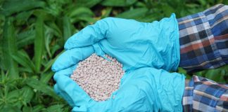 maharashtras-largest-waste-to-fertilizer-project-in-thane