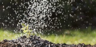 fertilizer-budget-rises-to-₹1-91-lakh-crore-for-2024-25