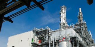 basf-introduces-aroma-ingredients-with-lower-carbon-footprint