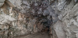 coal-india-explores-lithium-mining-jv-with-argentinas-ypf
