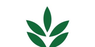 nfl-to-set-up-joint-venture-for-namrup-iv-plant-in-assam