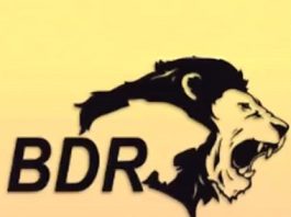 bdr-pharmaceuticals-to-invest-for-expansion-in-the-u-s