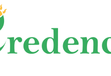 credence-solar-launches-topcon-bifacial-pv-panel