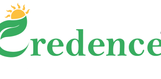 credence-solar-launches-topcon-bifacial-pv-panel