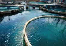 iit-madras-unveils-ecoop-technology-for-wastewater-treatment
