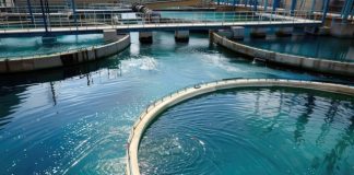 iit-madras-unveils-ecoop-technology-for-wastewater-treatment