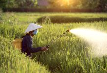 india-eyes-united-states-fertilizer-amid-global-changes