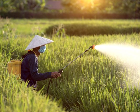 india-eyes-united-states-fertilizer-amid-global-changes
