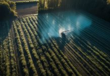 tropical-agro-unveils-patented-paddy-insecticide