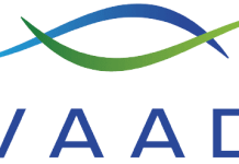 avaada-to-scale-solar-module-capacity-to-12-gw-in-nagpur