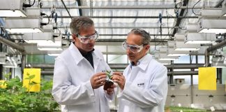 basf-initiates-registration-for-fungicide-adapzo-active