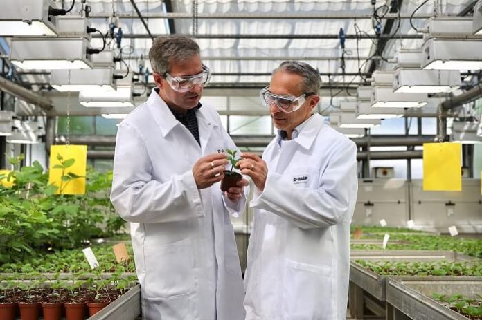 basf-initiates-registration-for-fungicide-adapzo-active