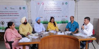 experts-call-for-safer-pesticide-practices-in-punjab