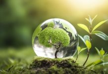 industry-commit-to-sustainability-on-world-environment-day