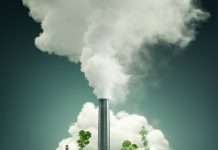 Genesis of World Environment Day