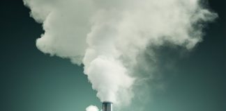 Genesis of World Environment Day