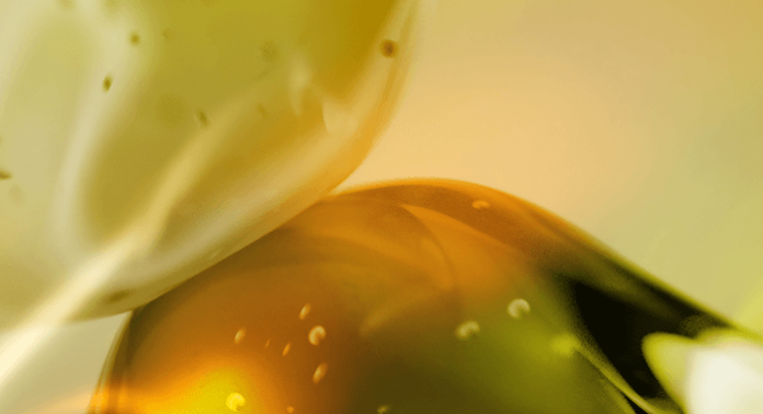 eurofragance-launches-olivante-a-perfumery-ingredient