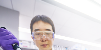 merck-and-promega-partner-to-advance-3d-cell-drug-discovery