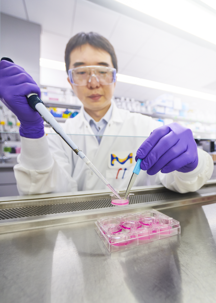 merck-and-promega-partner-to-advance-3d-cell-drug-discovery