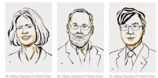 peripheral-immune-tolerance-2025-nobel-advances-immunology