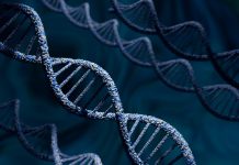 stempeutics-and-medinet-to-commercialise-stem-cell-therapy