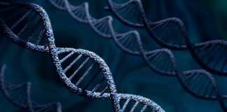 stempeutics-and-medinet-to-commercialise-stem-cell-therapy