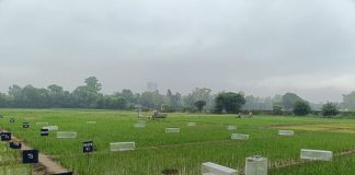 mirova-invests-in-varahas-regenerative-agriculture-project