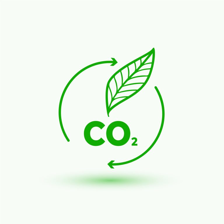 CO₂ Conversion To Chemicals Through Electrochemical Innovation