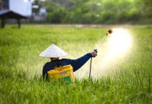 agrochemical-industry-forecasts-six-to-seven-percent-rise