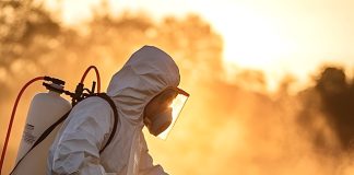 insecticides-india-appoints-devendra-kumar-ray-as-coo