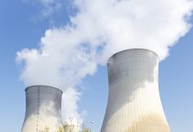 Thermal Power Plants Miss Biomass Targets Due to Supply Issues
