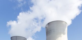 Thermal Power Plants Miss Biomass Targets Due to Supply Issues
