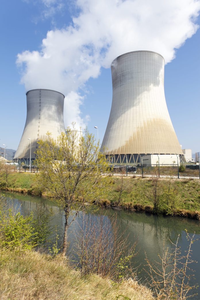 Thermal Power Plants Miss Biomass Targets Due to Supply Issues