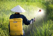 domestic-production-covers-73-of-fertiliser-needs-in-2025